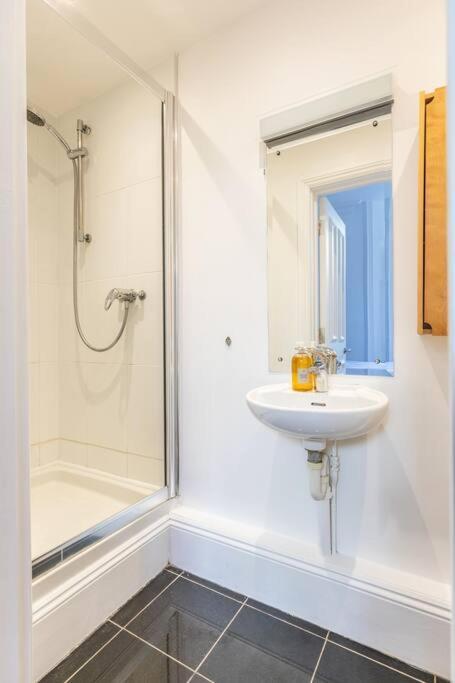 Victorian Flat Close To Station With Large Garden Leilighet Brighton Eksteriør bilde